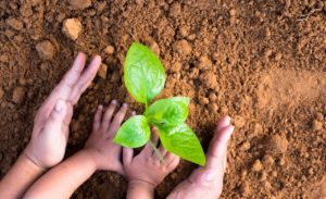 What Can Be Done on Earth Day
