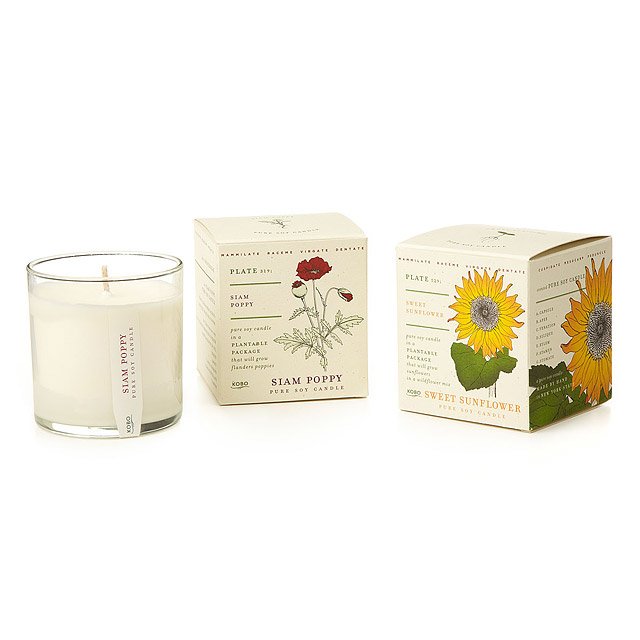 A candle and two plantable boxes
