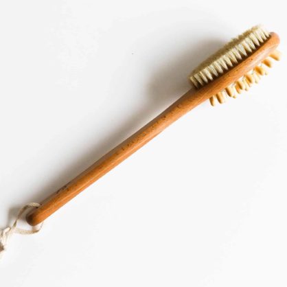 Dry Body Brush with Long Handle