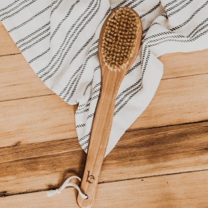 Dry Body Brush with Long Handle