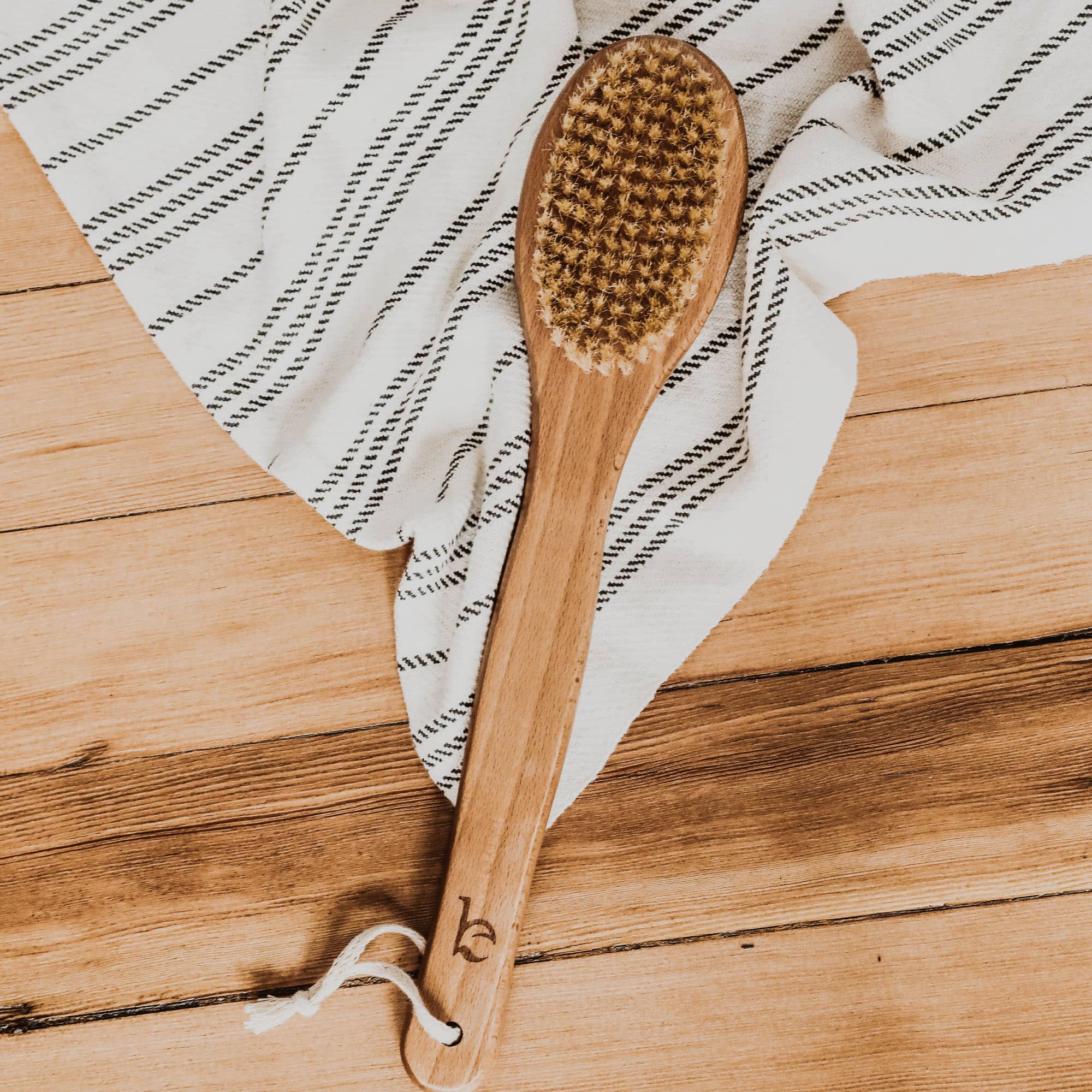 Dry Body Brush with Long Handle Dry Body Brush with Long Handle
