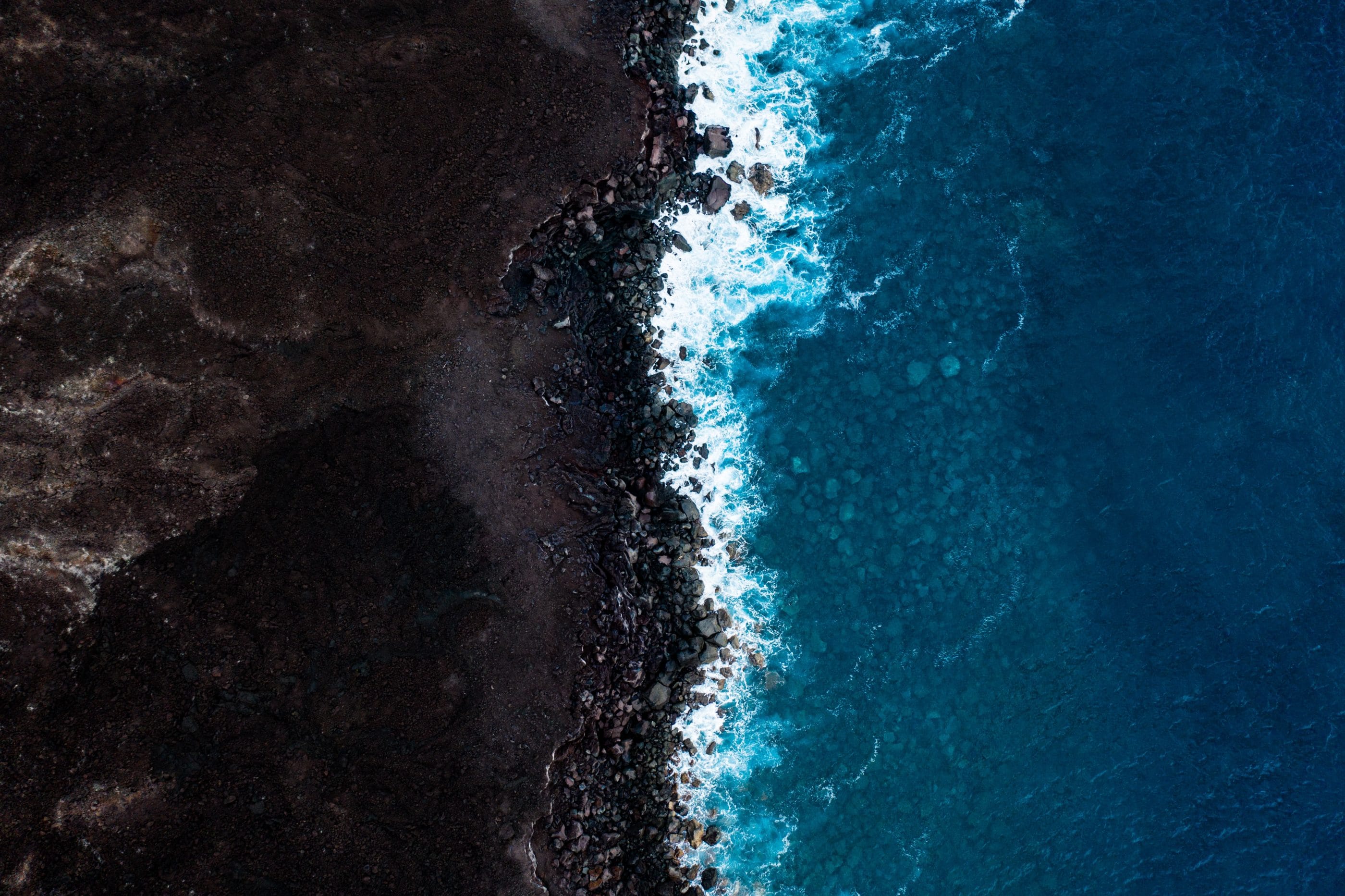 Earth Day